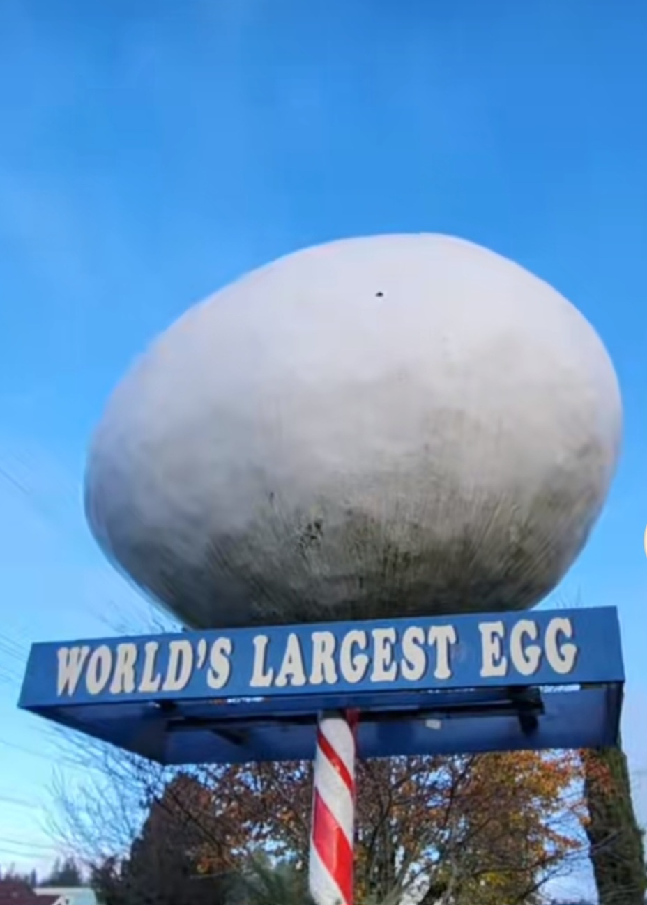 Winlock Giant Egg